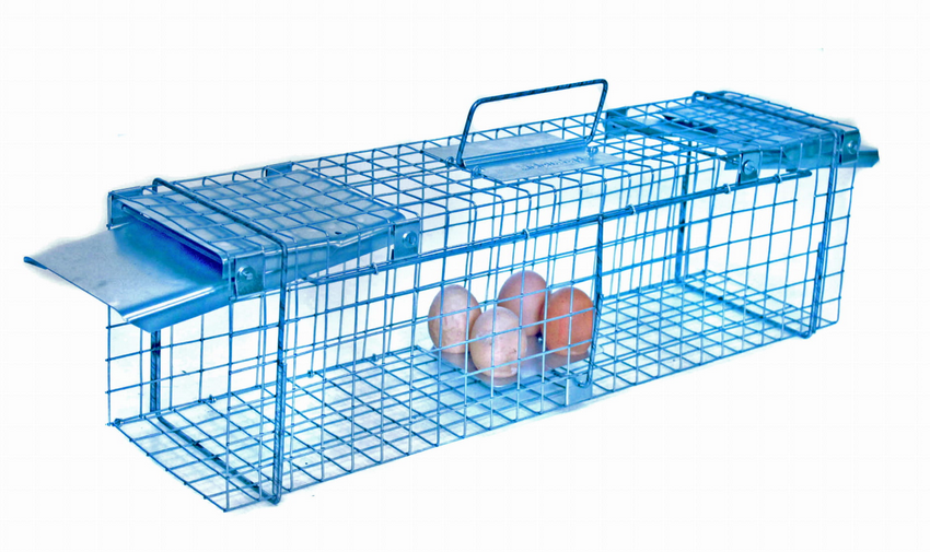 Pasti se dvěma vstupy