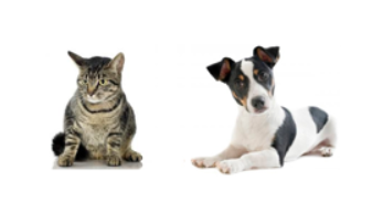 Odpuzovače koček a psů